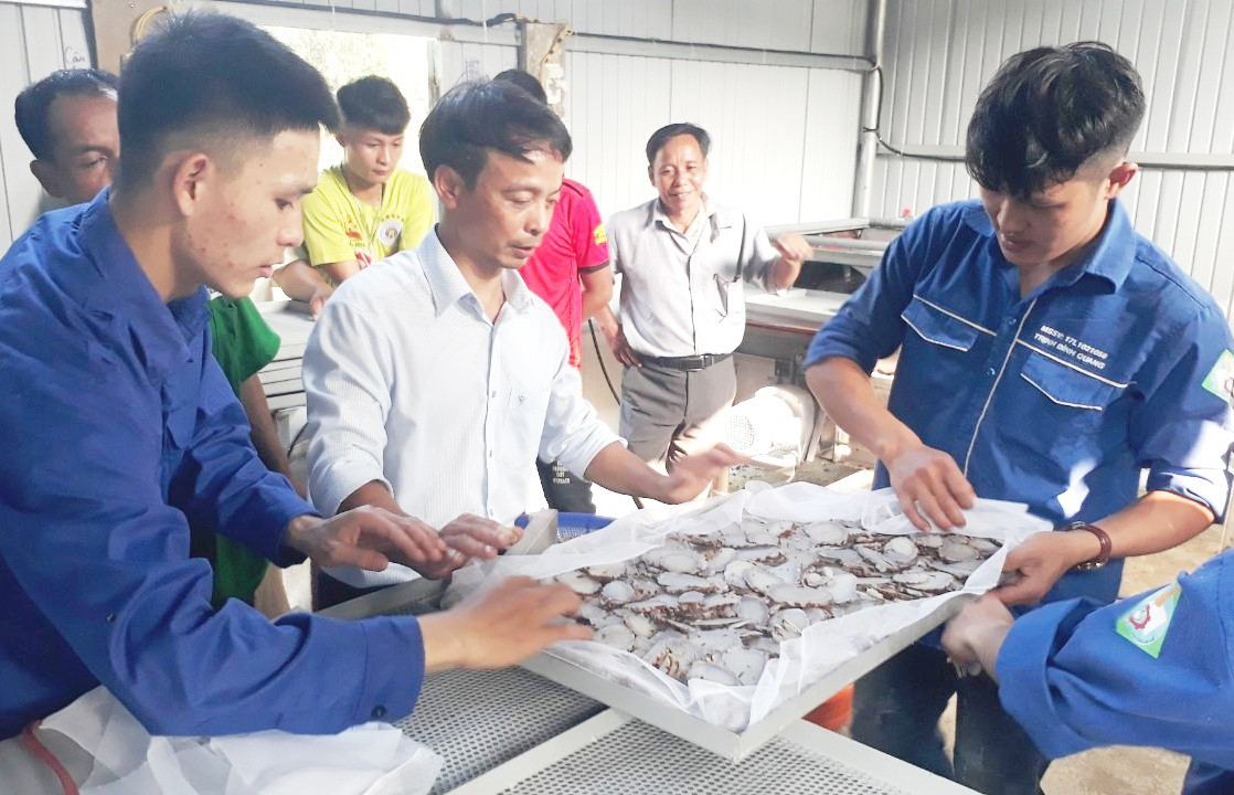 Nông dân xã Sông Kôn được hướng dẫn thu hoạch, chế biến và bảo quản sản phẩm từ cây nghệ đen. Ảnh: CT