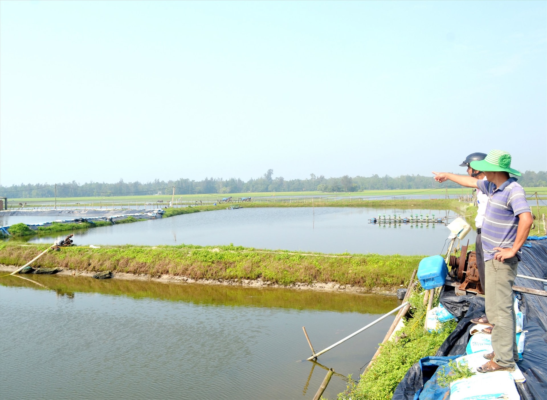 Nuôi tôm rất khó thành công với hạ tầng vùng nuôi sơ sài. Ảnh: NGUYỄN QUANG