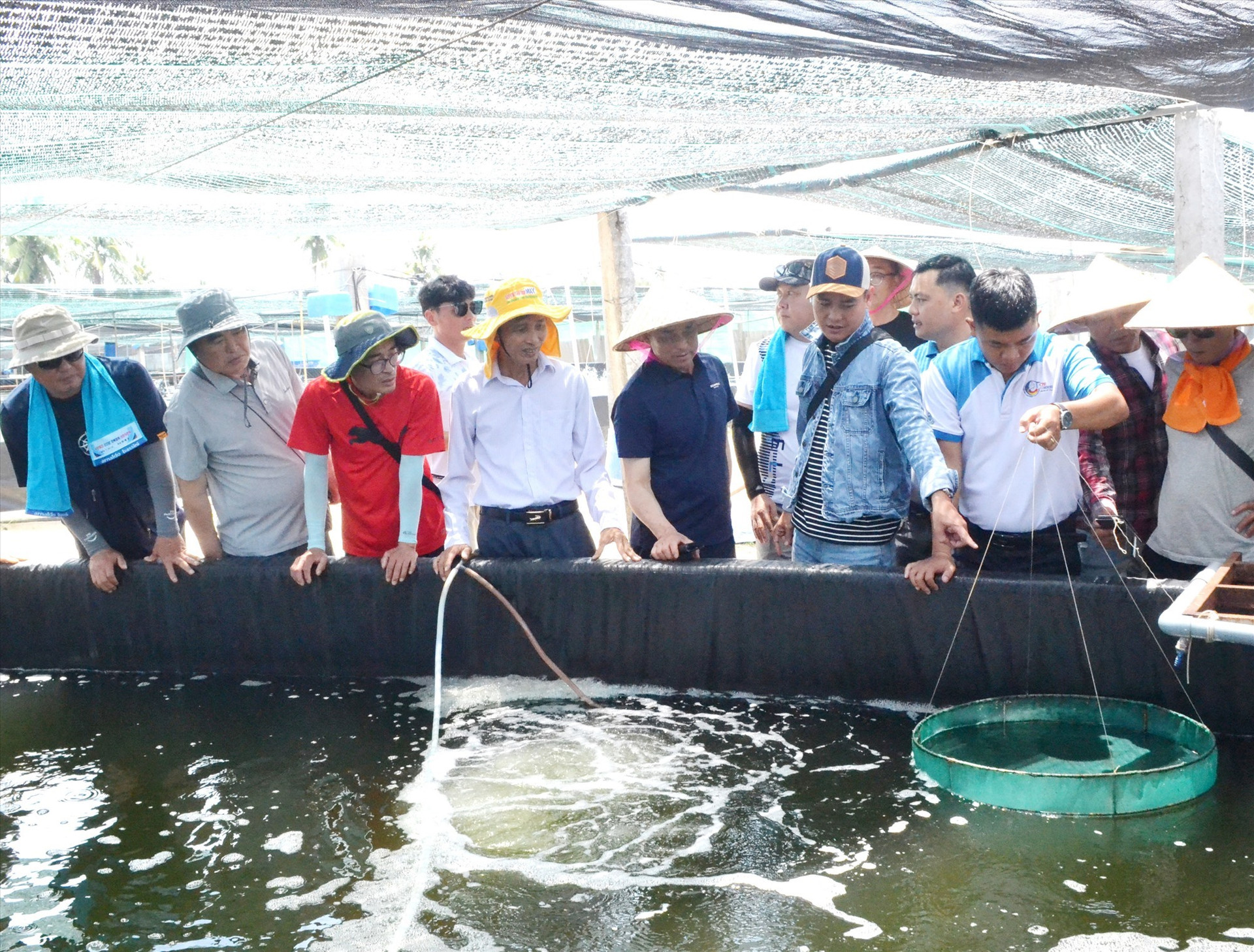 The delegation from Kim Sang Cheol Seafood Company visits CPF-Combine Phuoc Thanh Farm in Quang Nam