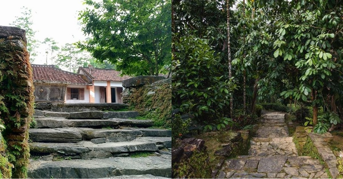 Loc Yen village owns a lot of beauties, including its natural landscapes, cool climate, and especially stone alleys which become very impressive to visitors.