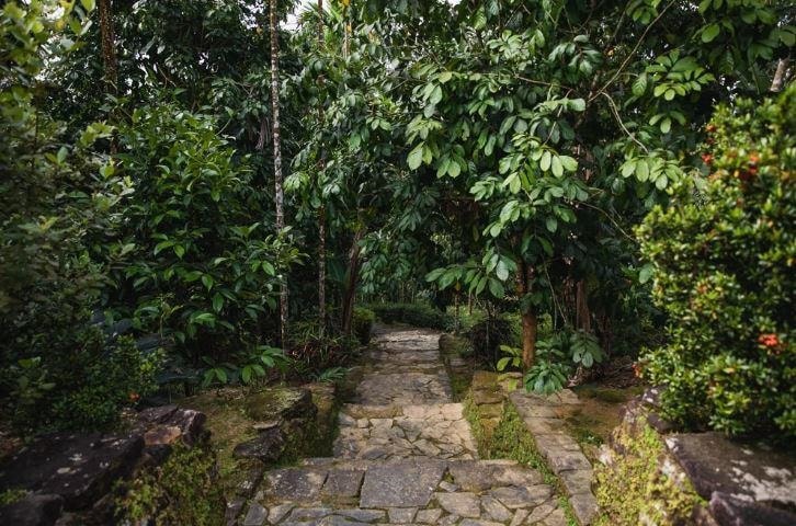 Loc Yen ancient village was recognised as a national heritage in September 2019. This has become a chance for the village to develop its tourism. Reportedly, the village receives a lot of visitors every year.