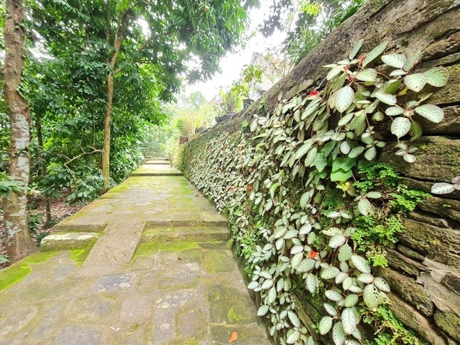 The village covers an area of 279 hectares, including ancient houses, stone alleys, fruit gardens, and paddy fields. Moreover, cultural values of the village have been well-preserved till now.