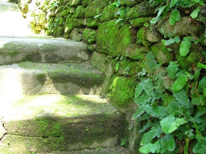 The stone alleys and fences in Loc Yen village make it unique. They help prevent erosion, and at the same time, become a good solution to the boundary problems between the households.