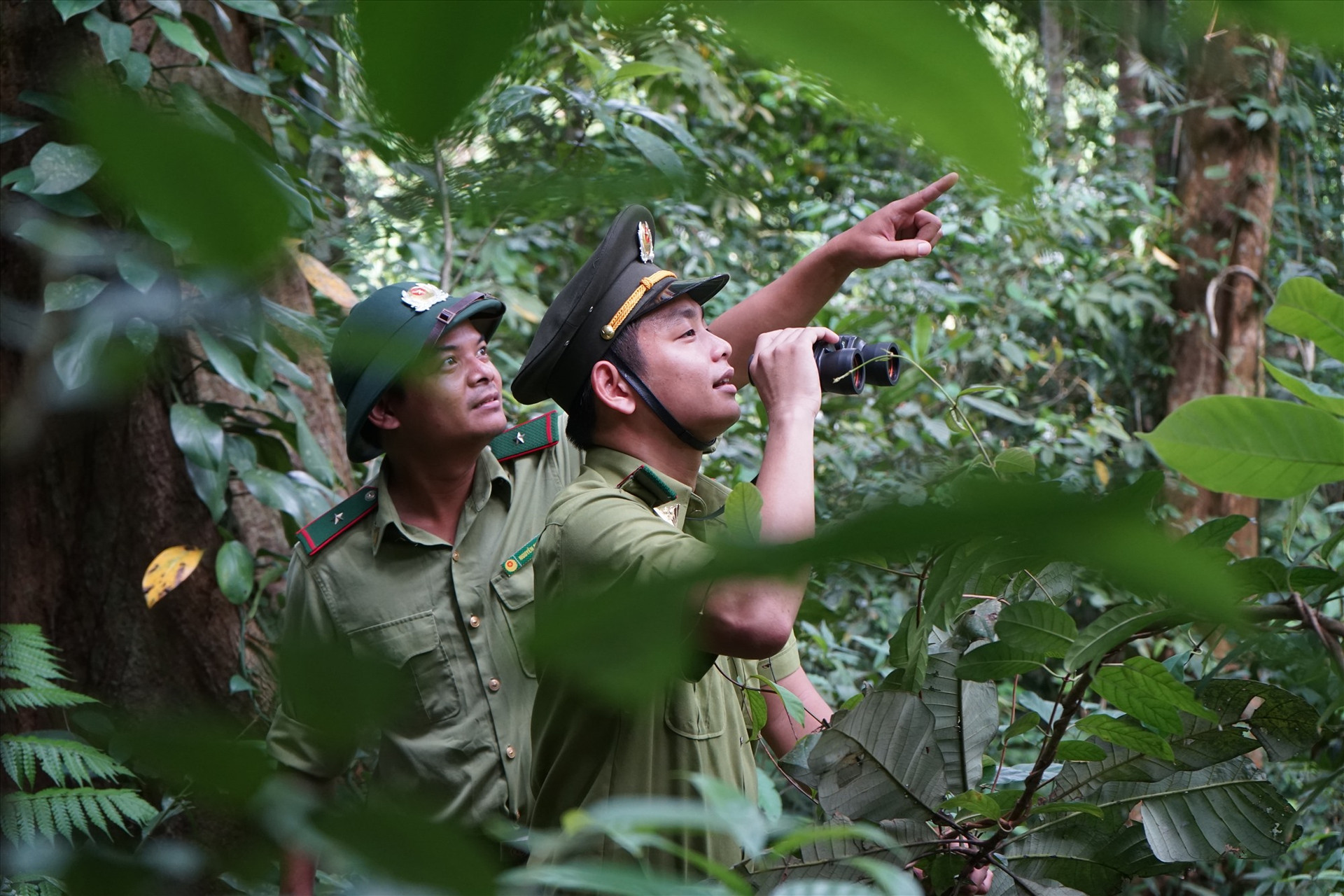 Lực lượng kiểm lâm Nam Trà My thường xuyên tổ chức tuần tra tại các khu rừng xung yếu. Ảnh: C.B