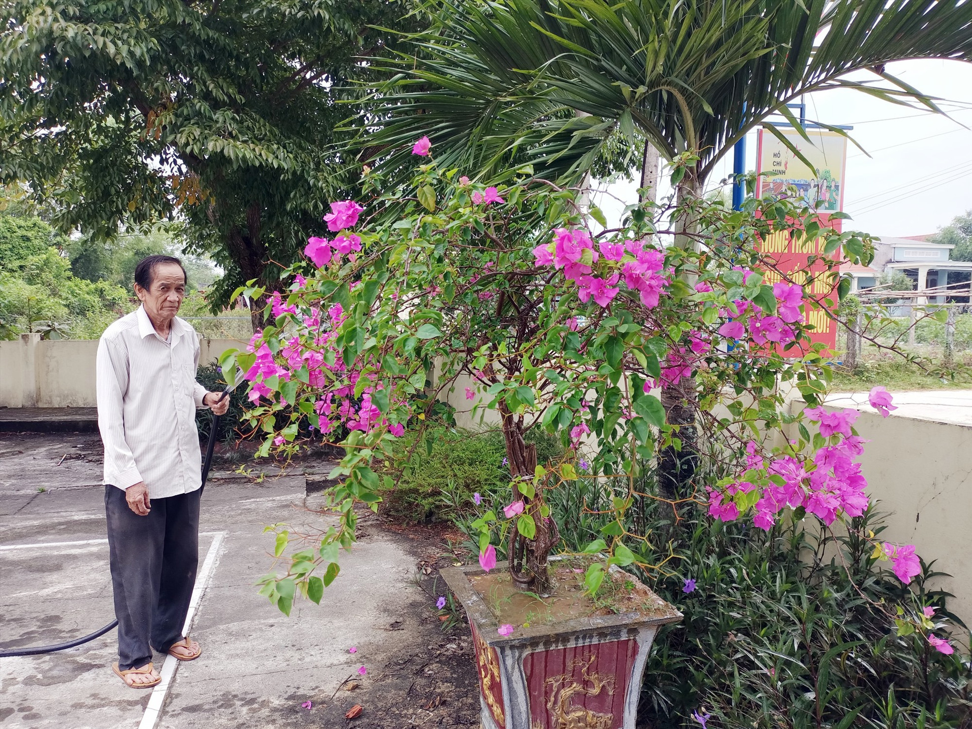 Ông Nguyễn Thơm chăm sóc các cây, hoa ở nhà văn hóa thôn An Hòa.