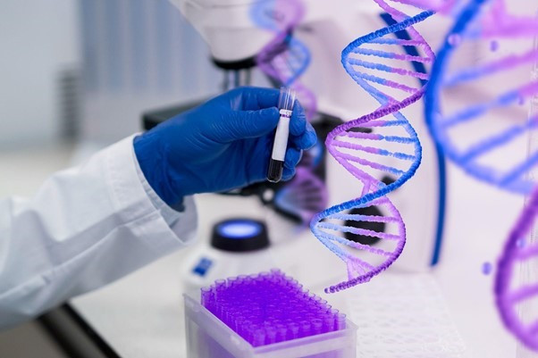 Giá xét nghiệm ADN tại Hà Nội chỉ 900.000 đồng/ mẫu.