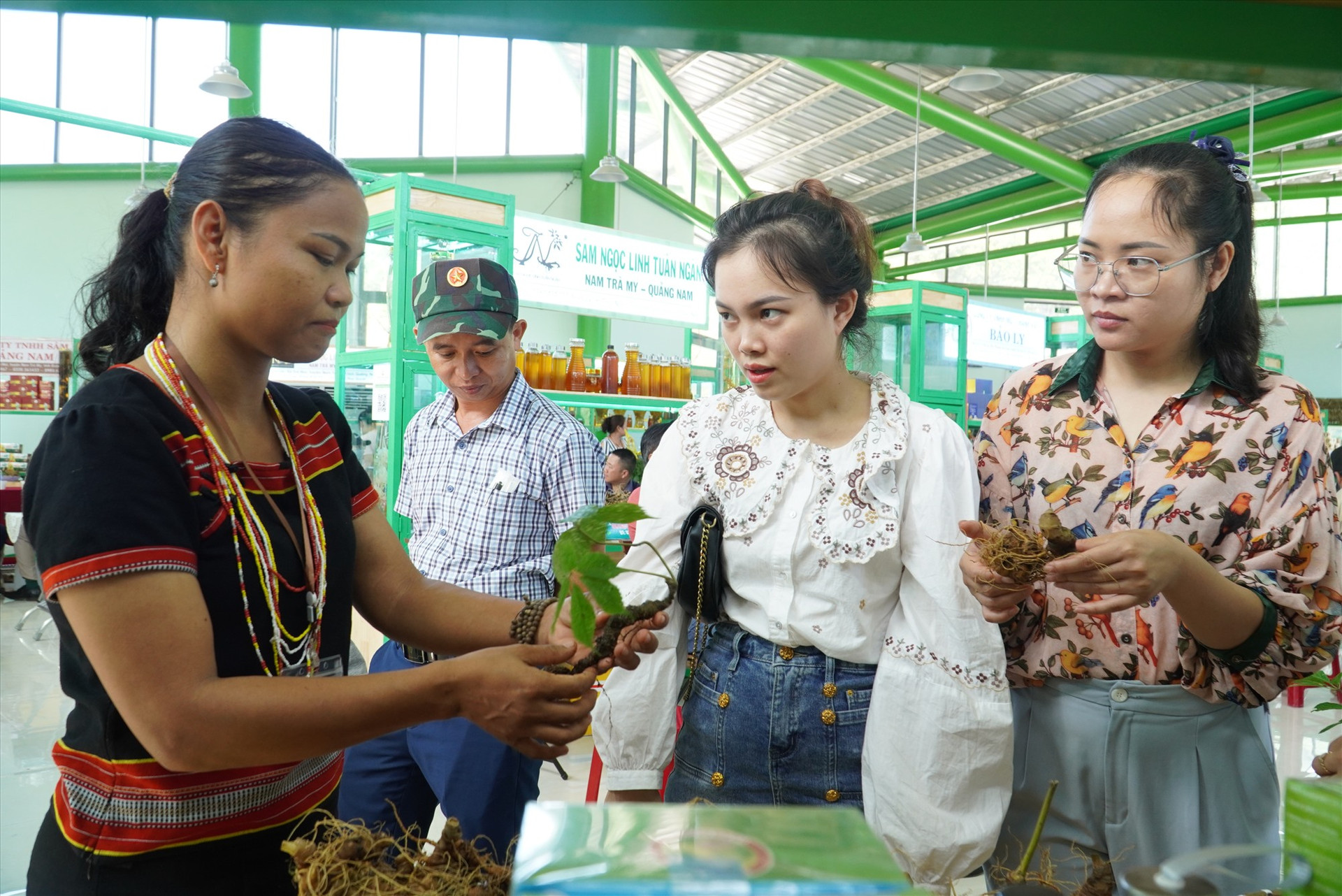 Lãnh đạo tỉnh khuyên nên mua sâm Ngọc Linh tại phiên chợ hàng tháng tại huyện Nam Trà My để đảm bảo nguồn gốc và chất lượng. Ảnh: Q.L