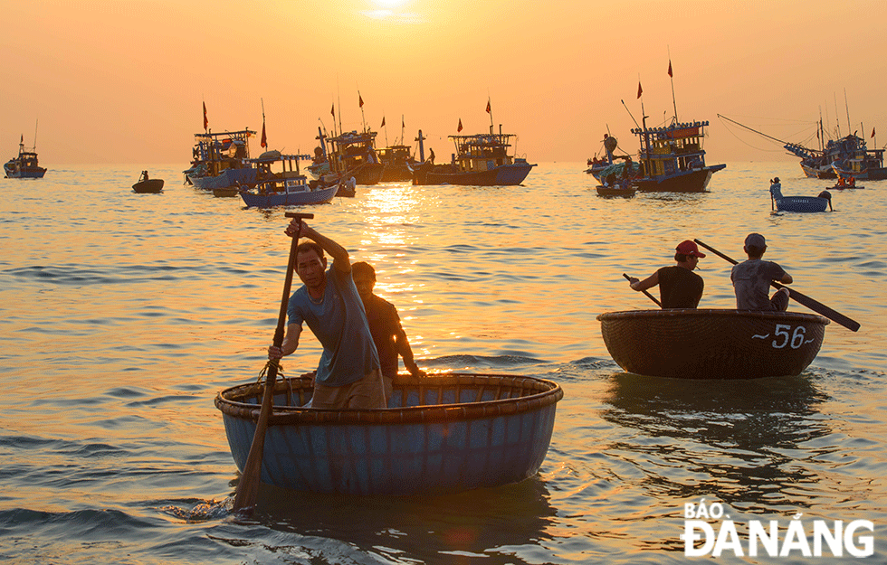 Để đưa hải sản từ thuyền lớn vào bờ thì ngư dân phải trung chuyển sang các thúng nhỏ.