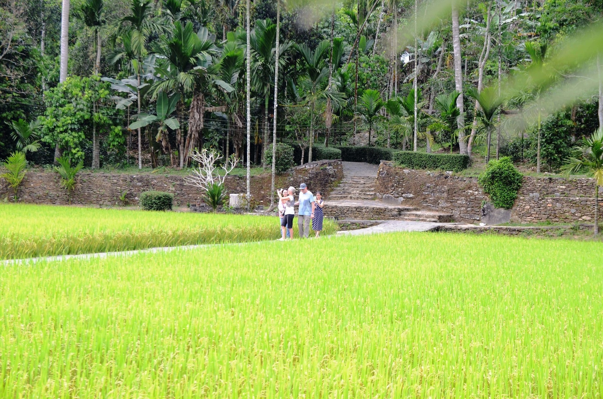 Recently, Loc Yen ancient village has welcome a lot of visitors including foreign ones.