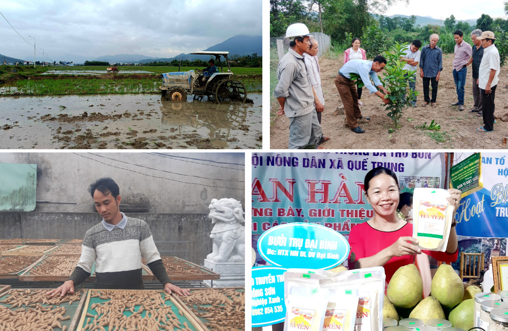 Nông nghiệp hiện đại, bền vững dựa trên thế mạnh địa phương vẫn là hướng đi chính trong tương lai. Ảnh: Đ.S.V