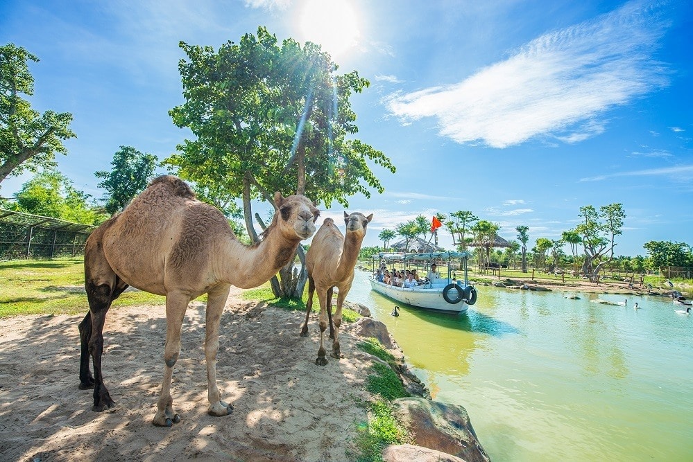 In short, VinWonders Nam Hoi An will bring many special activities to visitors via a series of cultural festivals from the three regions. This is expected to create many impressions and beautiful memories for visitors this summer.