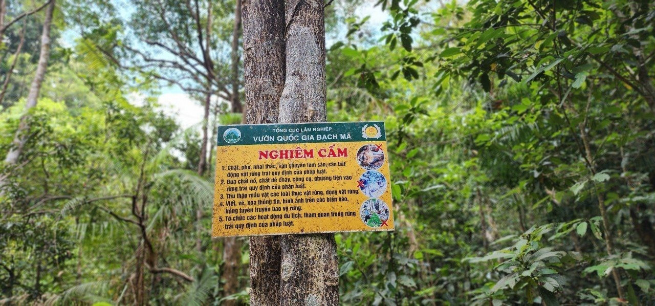 Các bảng nghiêm cấm các hành vi xâm hại rừng đặt dày đặt trong lâm phận Vườn quốc gia Bạch mã. Ảnh: HP.