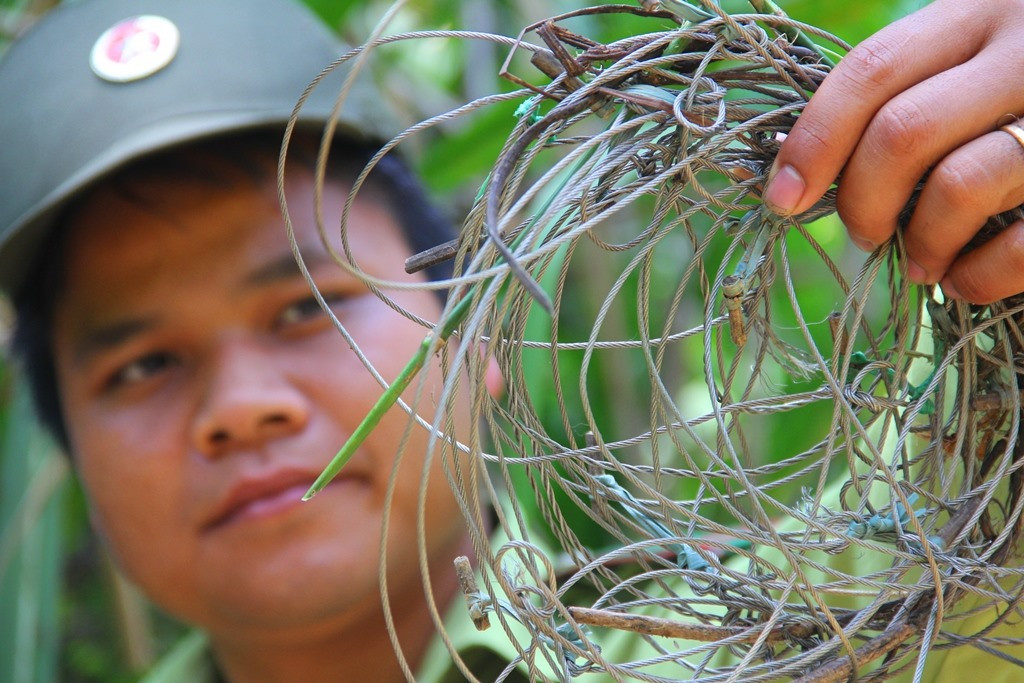 Gần 10.000 bẫy dây dùng săn, bẫy bắt động vật rừng được thu giữ qua các đợt tuần tra. Ảnh: T.C