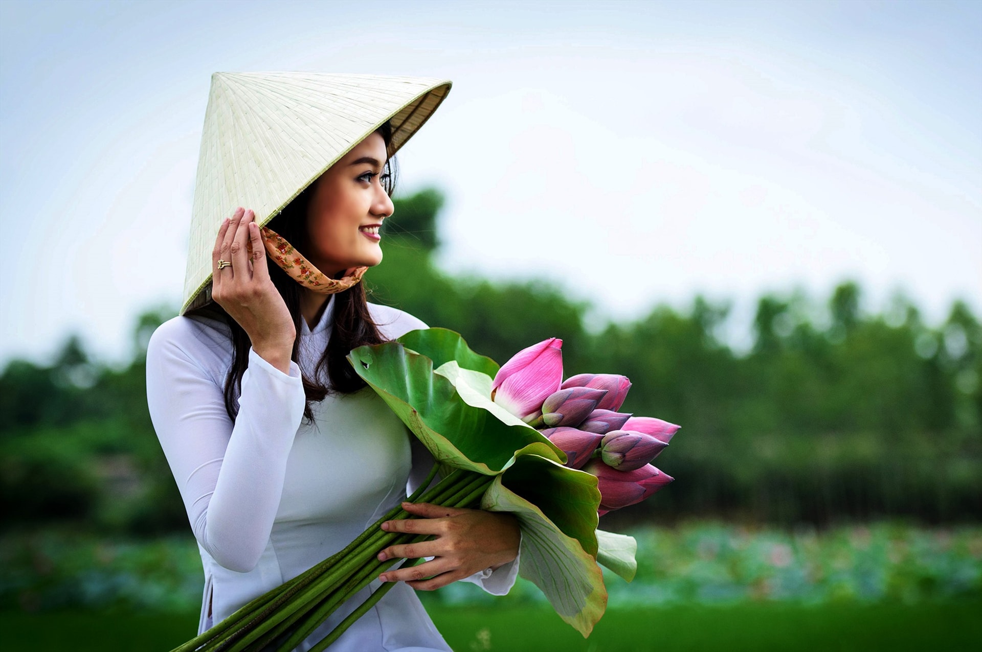 Không chỉ đẹp, hoa sen còn thơm ngát, dịu dàng làm xua tan đi cái nắng gắt của miền Trung ngày hè và níu chân biết bao lữ khách phương xa...