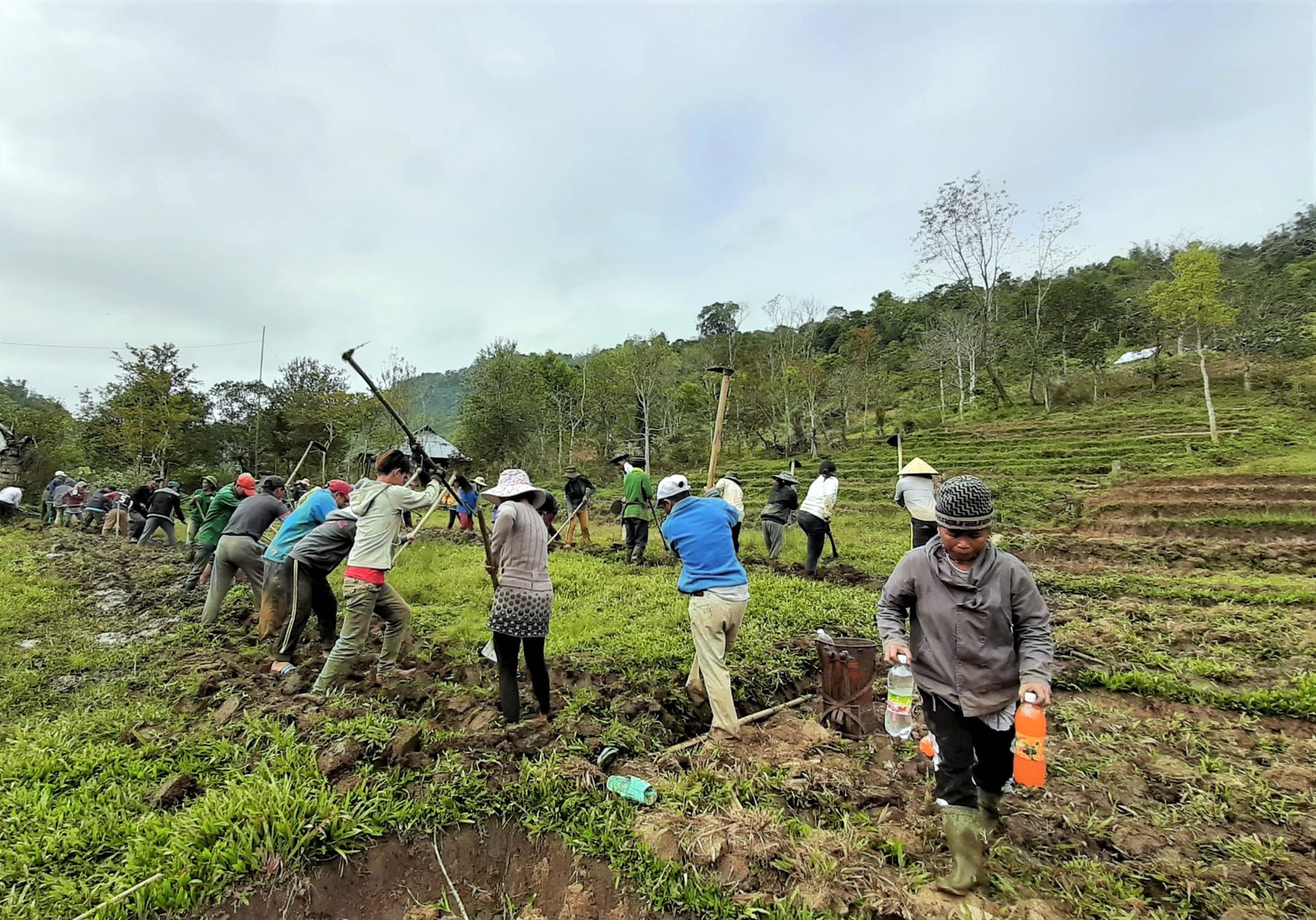 Phát huy vai trò người đứng đầu, những năm qua, Alăng Tèo vận động người dân duy trì tục đổi công trong cộng đồng. Ảnh: ĐĂNG NGUYÊN