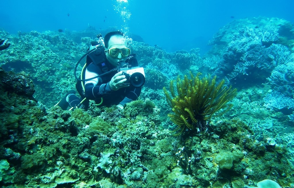 Scuba diving to see corals