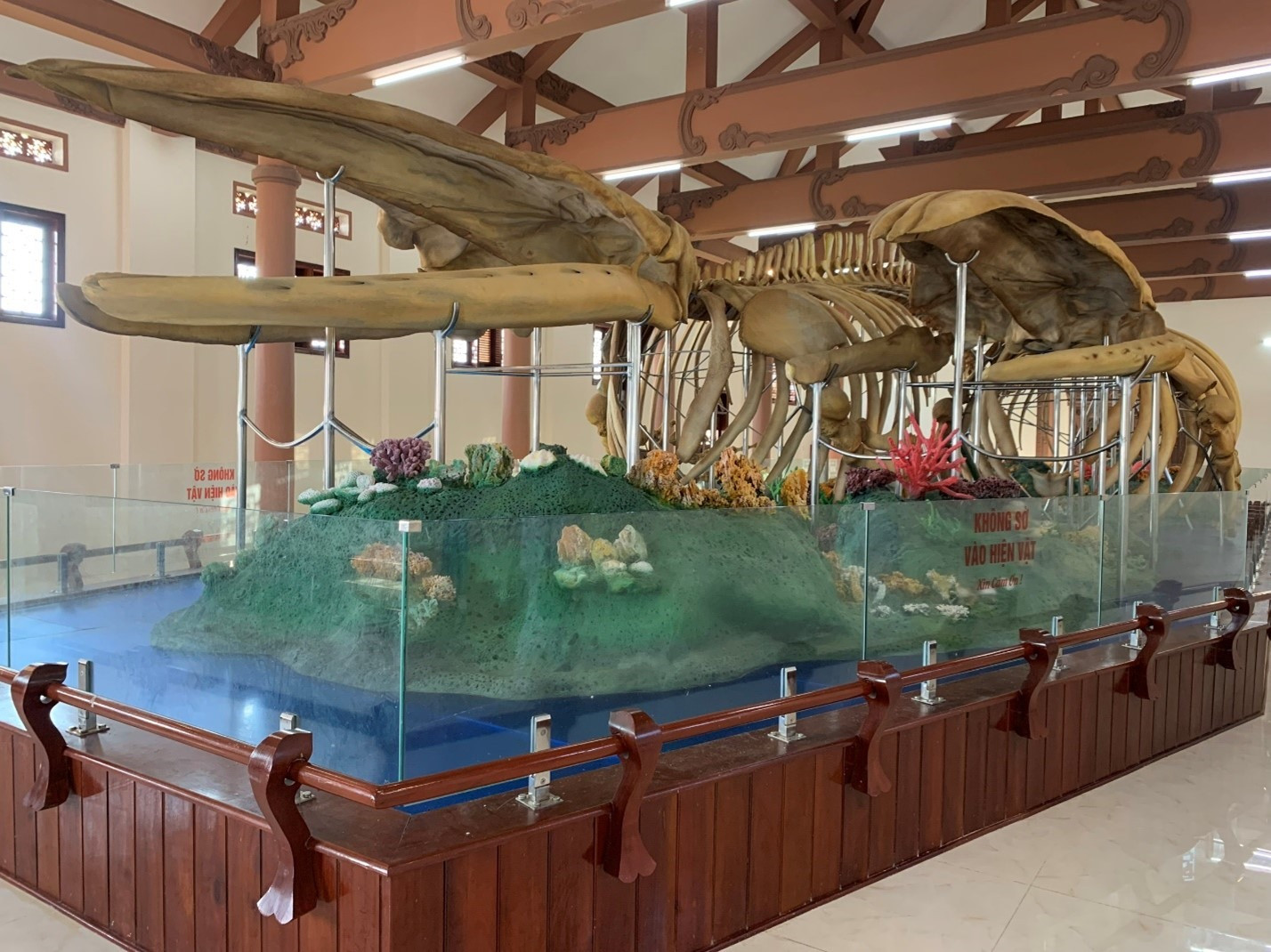Bộ xương cá Ông lớn nhất Việt Nam ở Đảo Lý Sơn.
