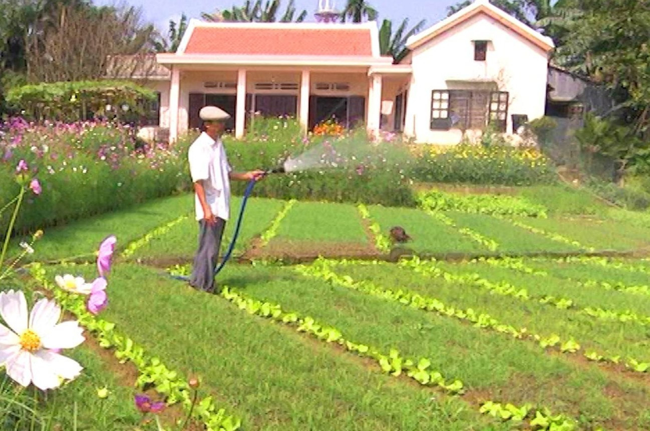 Một vườn rau của nông dân Điện Minh