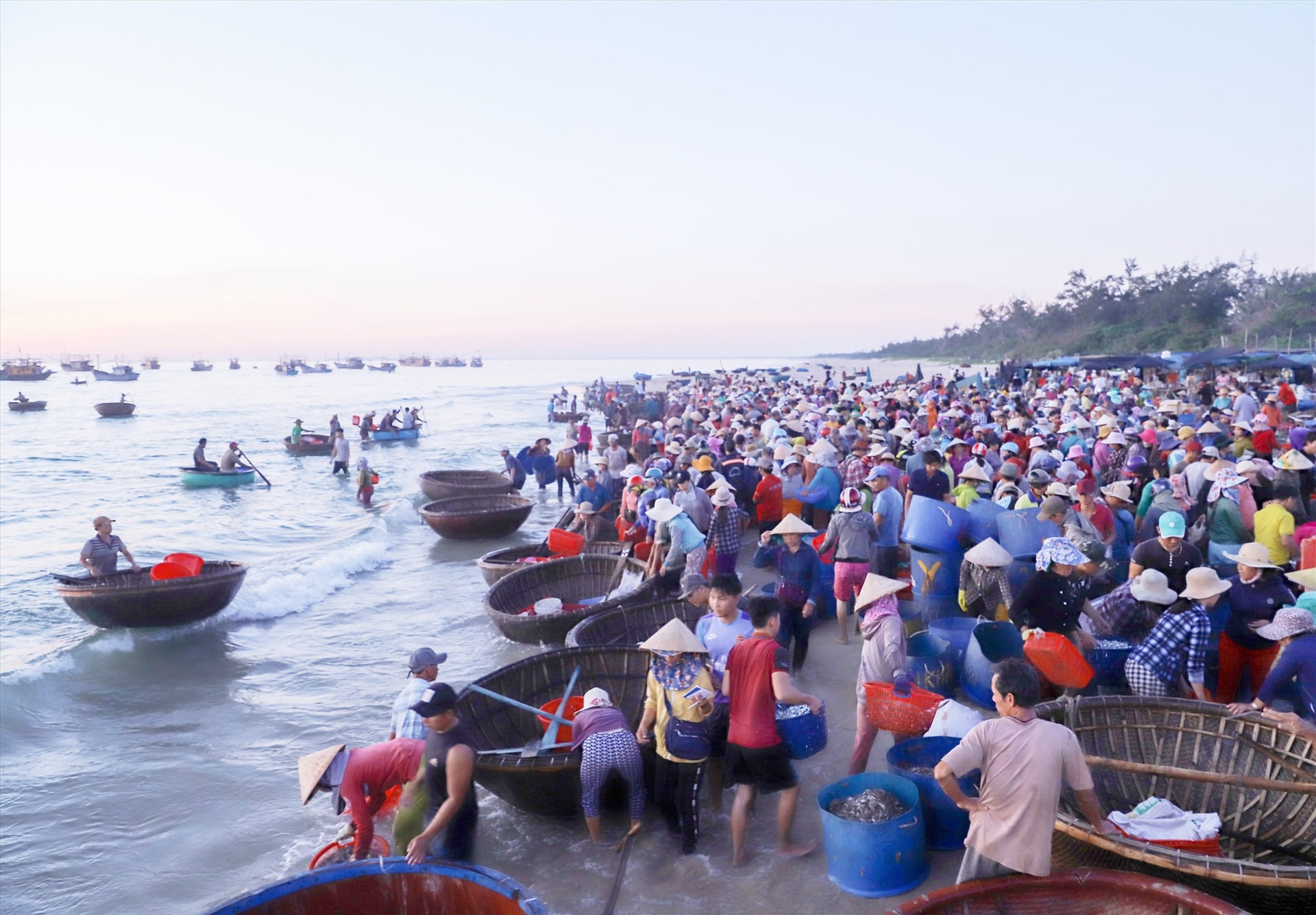 Nhiều đại biểu kiến nghị cần có giải pháp cấp bách để bảo vệ nguồn lợi thủy sản ven bờ. Ảnh: T.C