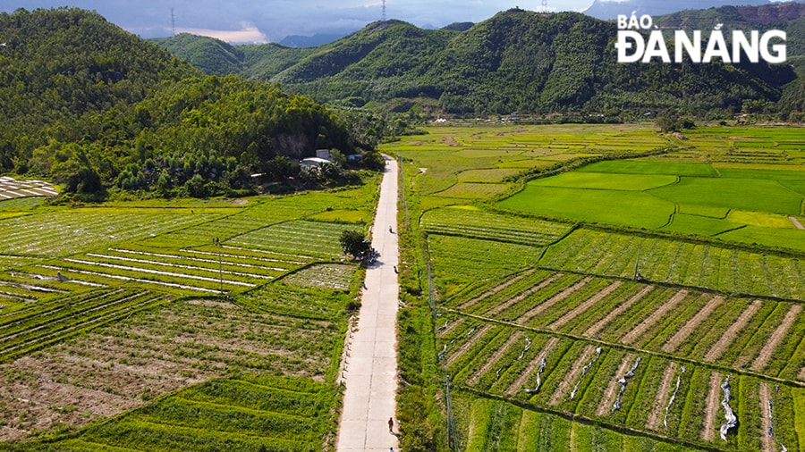 Được biết, do thời tiết năm nay có nhiều thay đổi nên sản lượng dưa ở thôn Trường Định không được như mong đợi.