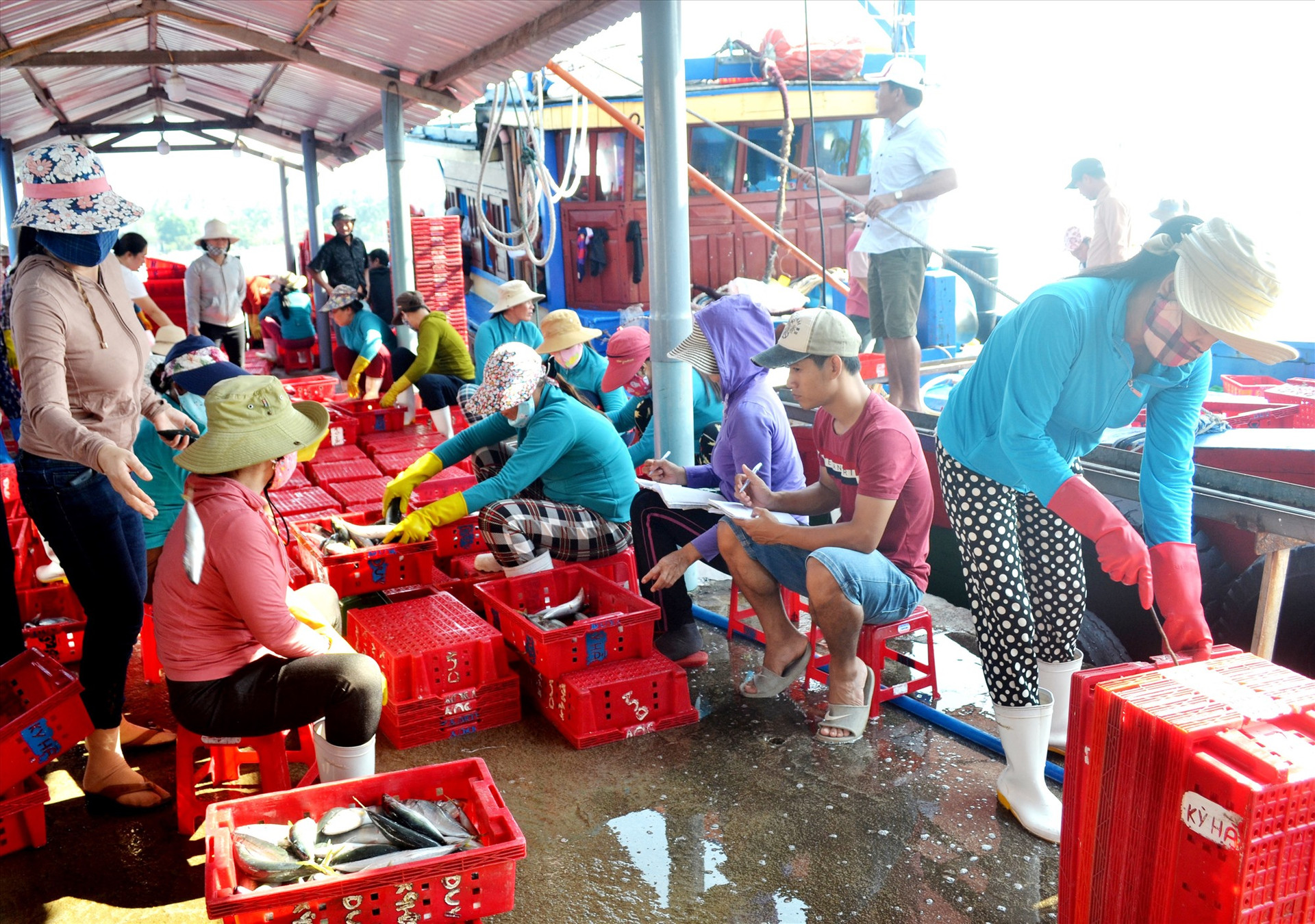 Quản lý và truy xuất nguồn gốc hải sản đang là điểm yếu trong chống khai thác IUU của tỉnh do hạ tầng nghề cá chưa đáp ứng yêu cầu. Trong ảnh: Ngư dân cập cảng cá Tam Quang để bán hải sản. Ảnh: VIỆT NGUYỄN