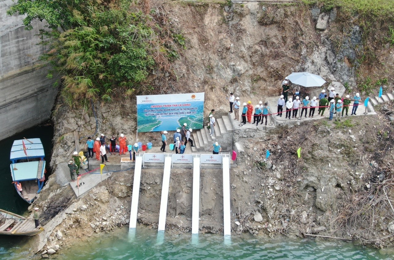 Công ty CP Thủy điện sông Bung thả cá giống hỗ trợ sinh kế cho người dân Nam Giang. Ảnh: Q.VIỆT
