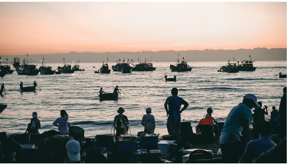 Traders are gathering at the market, waiting for boats to buy seafood.