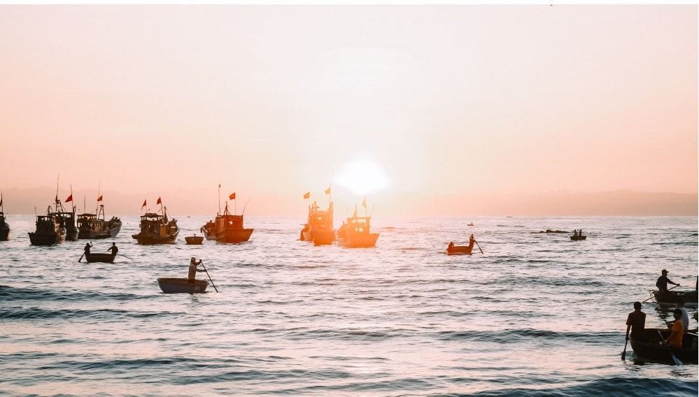 Besides motorboats, fishermen use coracles to bring their catches to the shore.