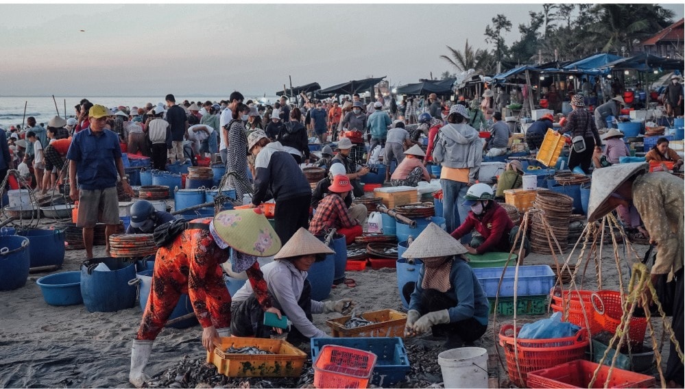 Tam Tien fish market starts its day at 3 a.m. and is over when the sun has not risen yet. It is on Tam Tien beach and works only in summer, from April to September. Tam Tien fish market is considered the busiest one in Quang Nam province.