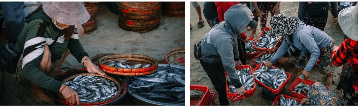 There are a variety of seafoods at Tam Tien fish market.