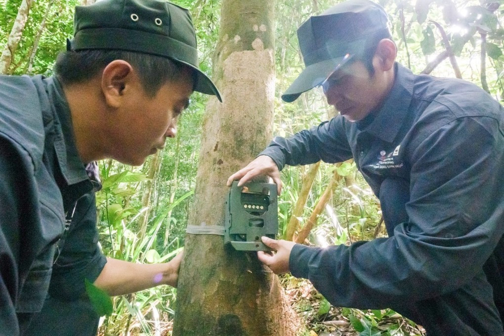 Camera trap in the Quang Nam Saola Reserve. Photo: WWF Vietnam