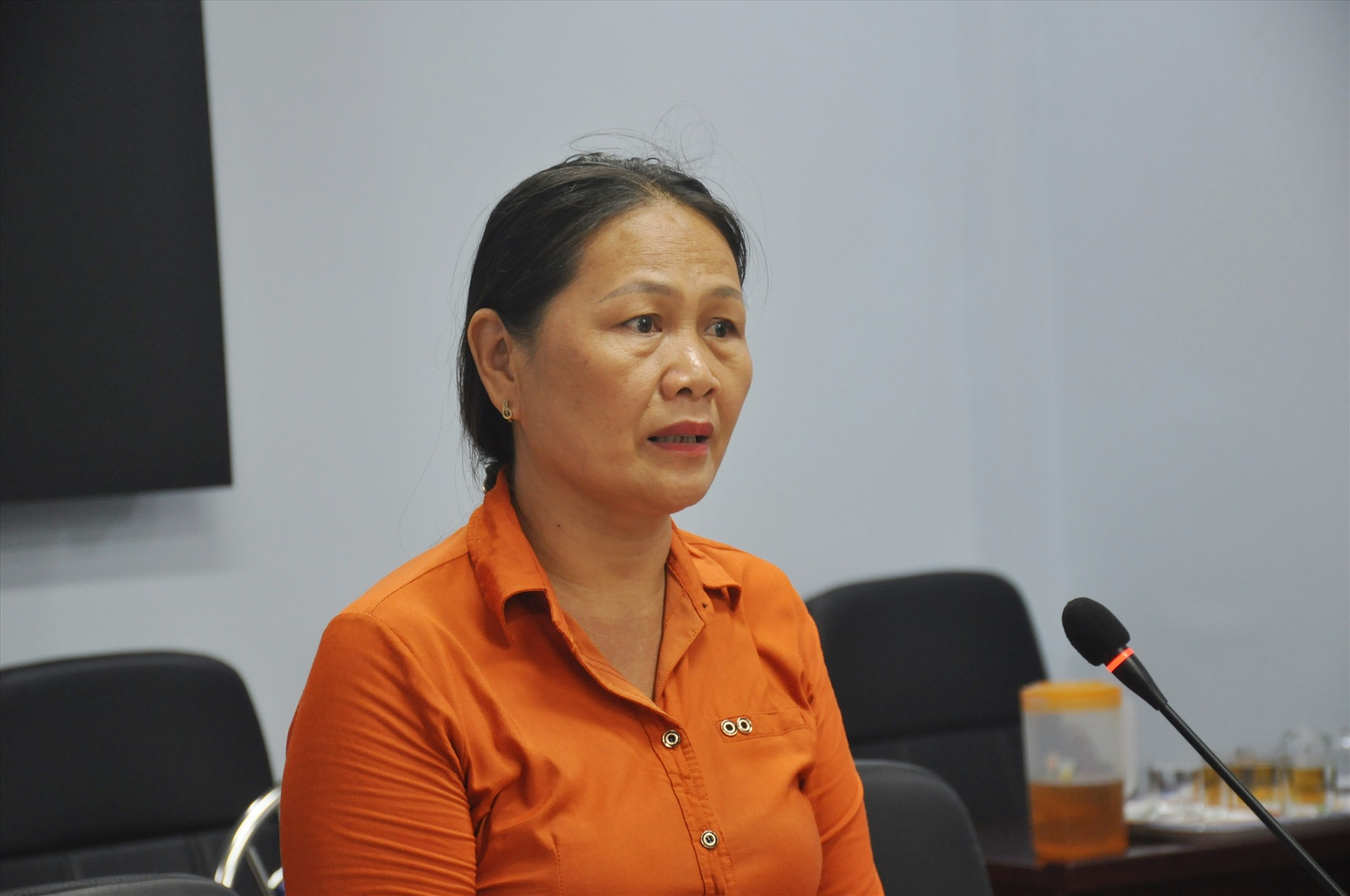Bà Huỳnh Thị Xuân Viện phản ánh nội dung đơn kêu cứu tại buổi tiếp dân. Ảnh: N.Đ