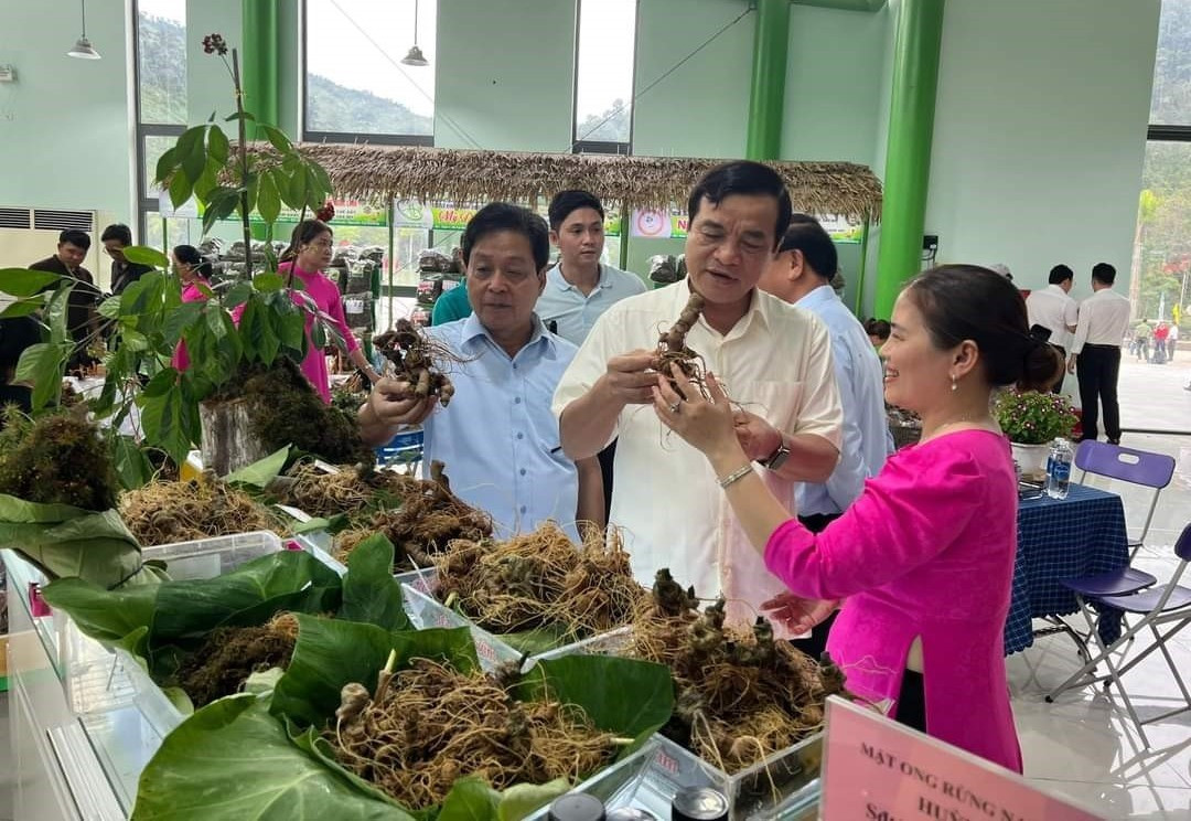 Bí thư Tỉnh ủy Phan Việt Cường thăm hộ kinh doanh sâm Ngọc Linh tại phiên chợ sâm. Ảnh: Q.L