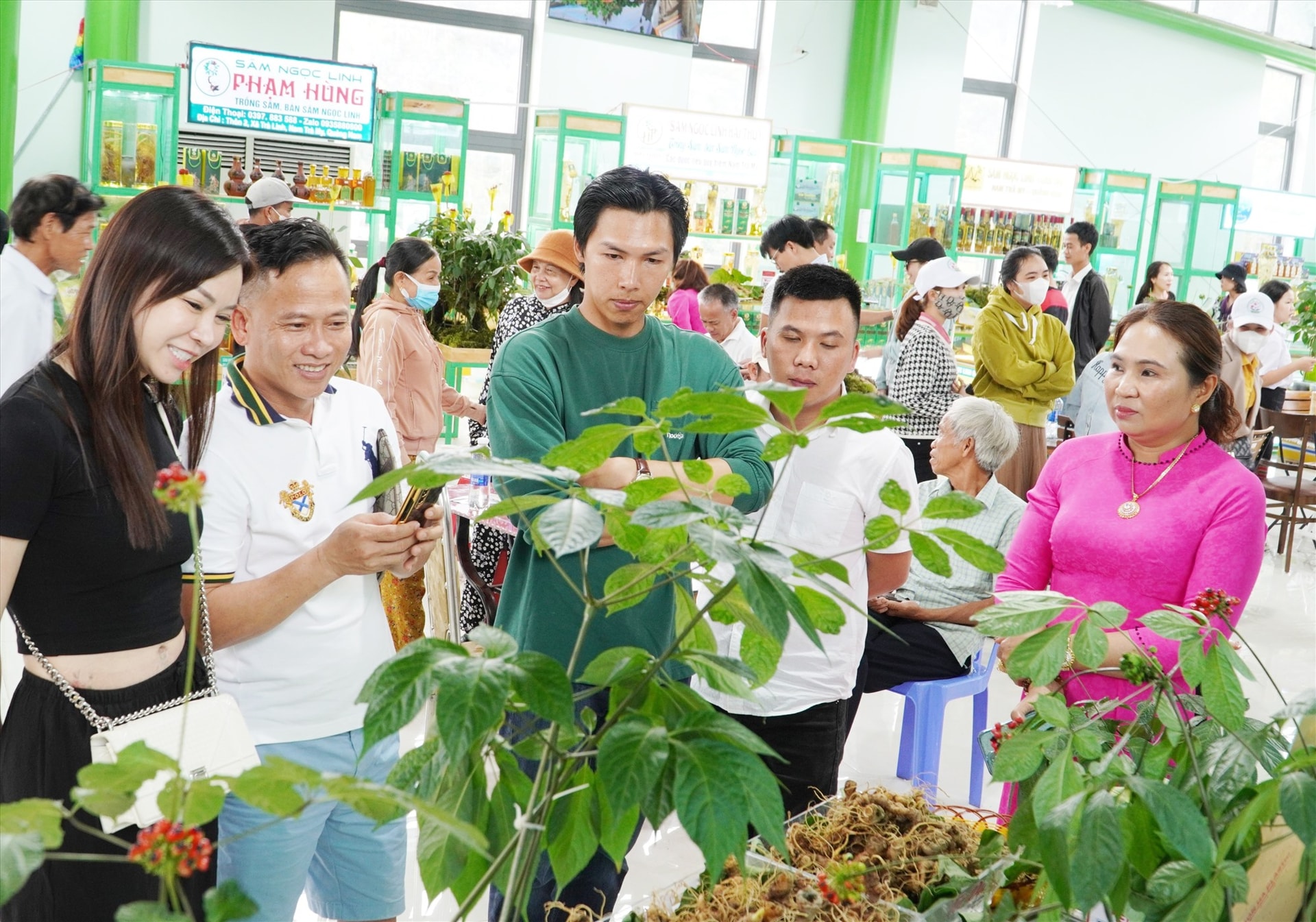 Sâm Ngọc Linh được người tiêu dùng tin tưởng khi mua tại phiên chợ sâm Ngọc Linh và dược liệu tại huyện Nam Trà My. Ảnh: L.Q