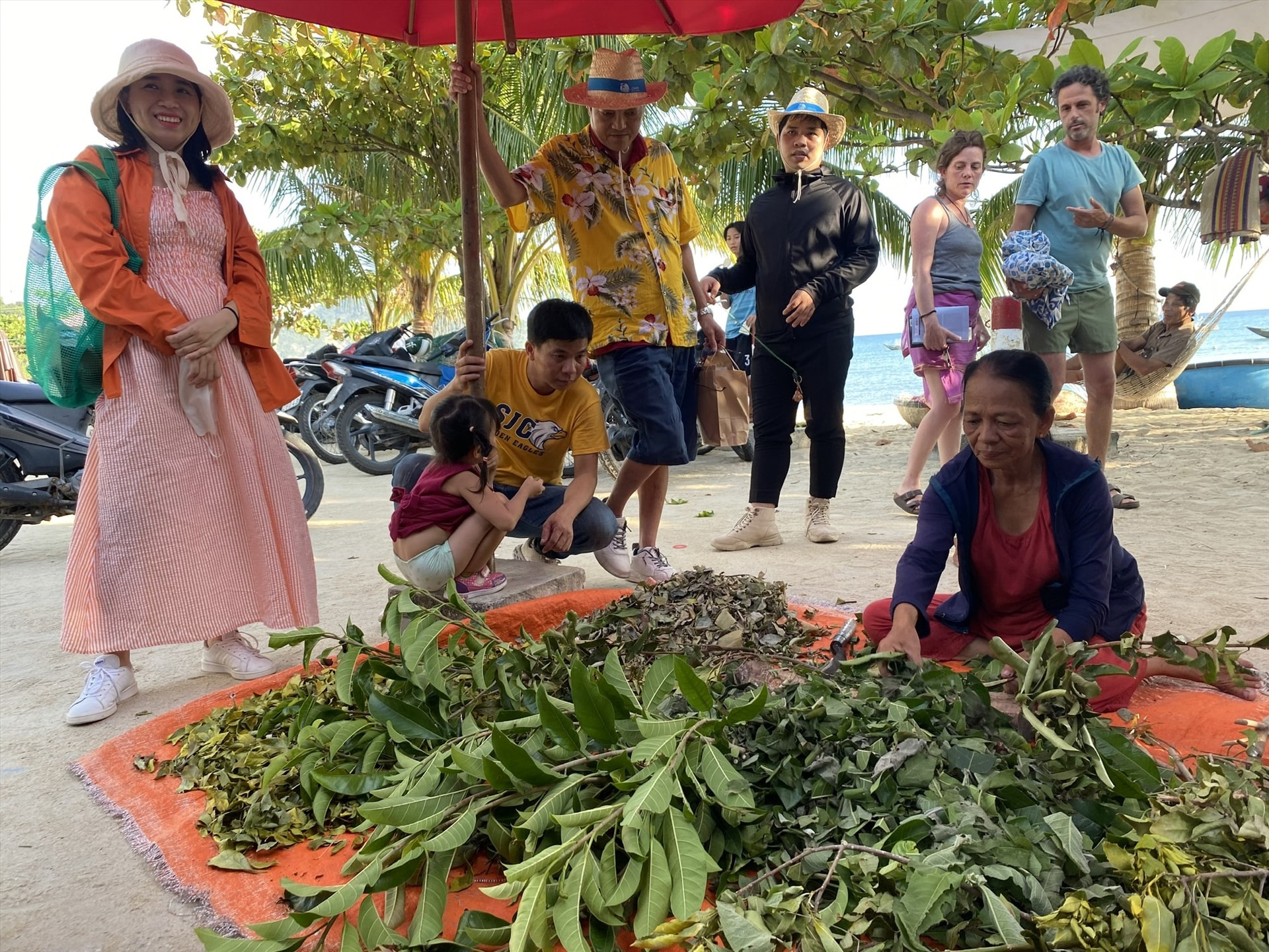 Trải nghiệm nghề hái lá rừng làm nước uống. Ảnh: V.L