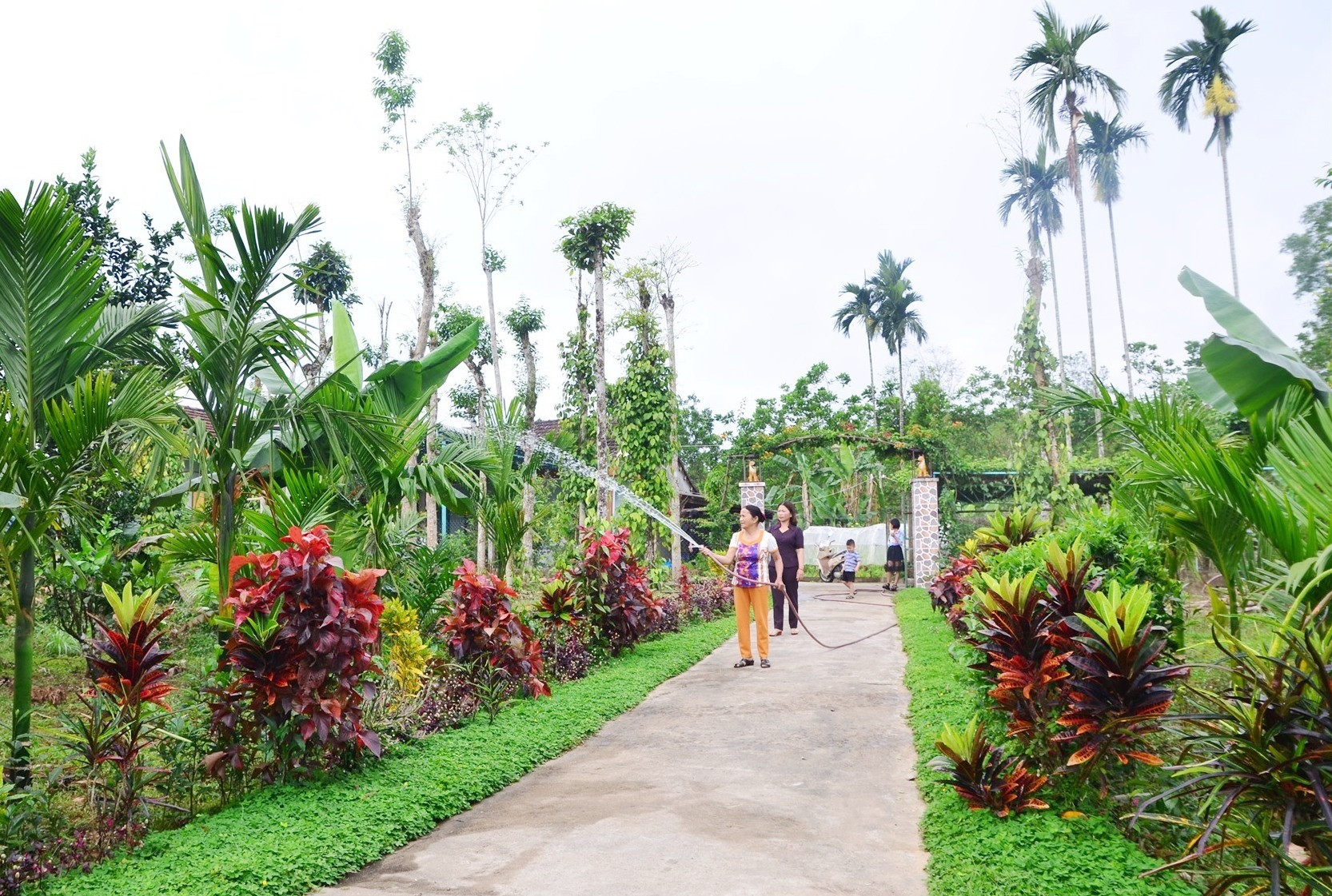 Mô hình “Nhà sạch, vườn đẹp” của bà Phan Thị Để tại thôn 4, xã Tiên Lập (Tiên Phước). Ảnh: HOÀNG HƯNG