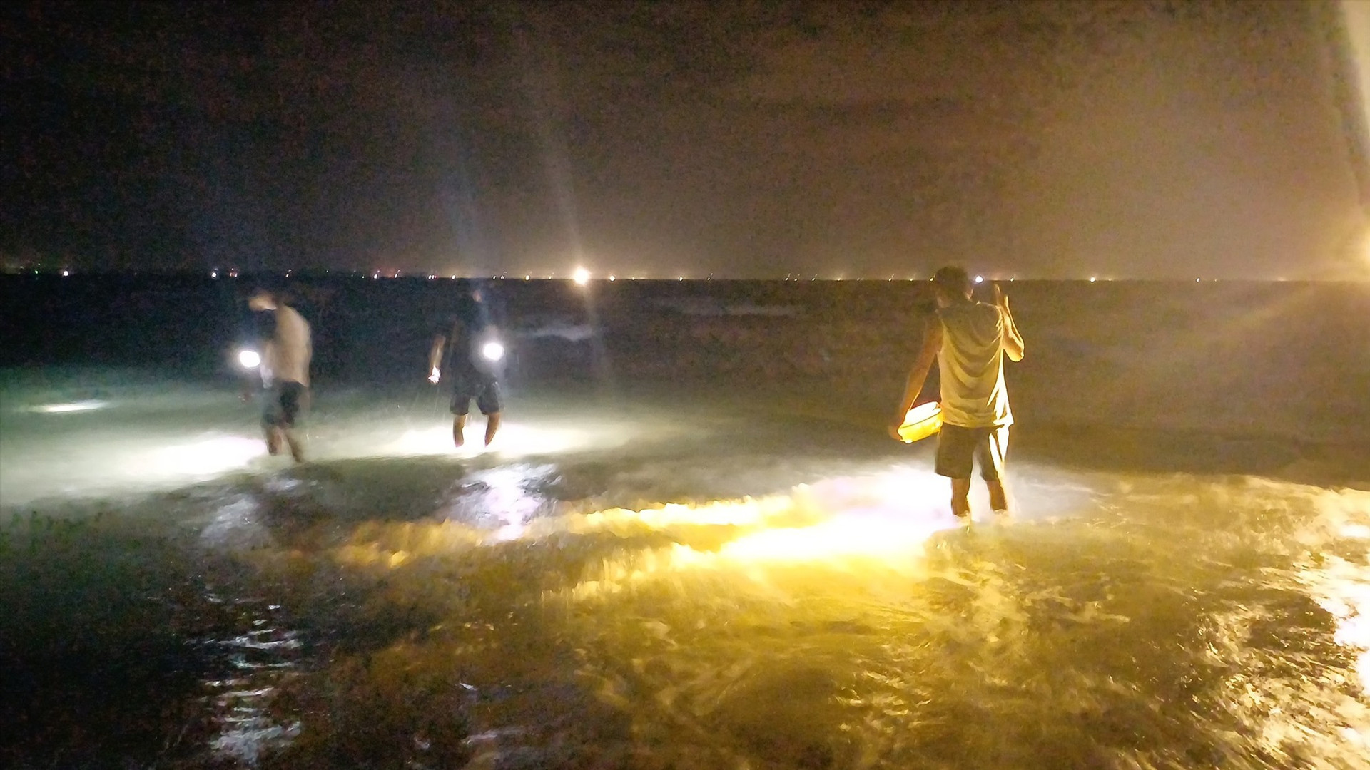Người dân Thăng Bình soi đèn tìm bạch tuộc ở biển Bình Minh. Ảnh: N.Q