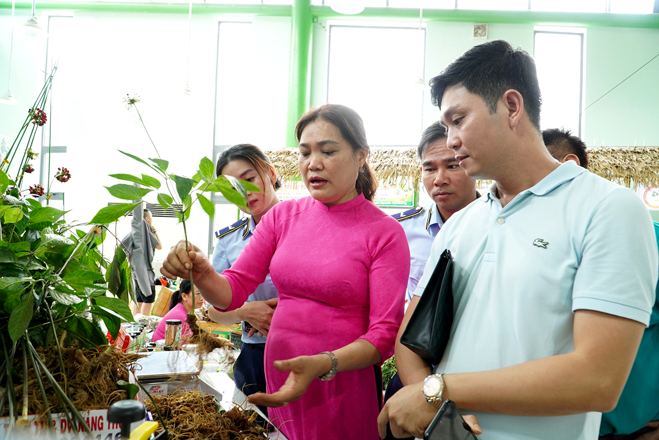 Quảng Nam chưa có máy móc, thiết bị hiện đại phục vụ giám định, kiểm định chất lượng sâm Ngọc Linh. Ảnh: Q.L