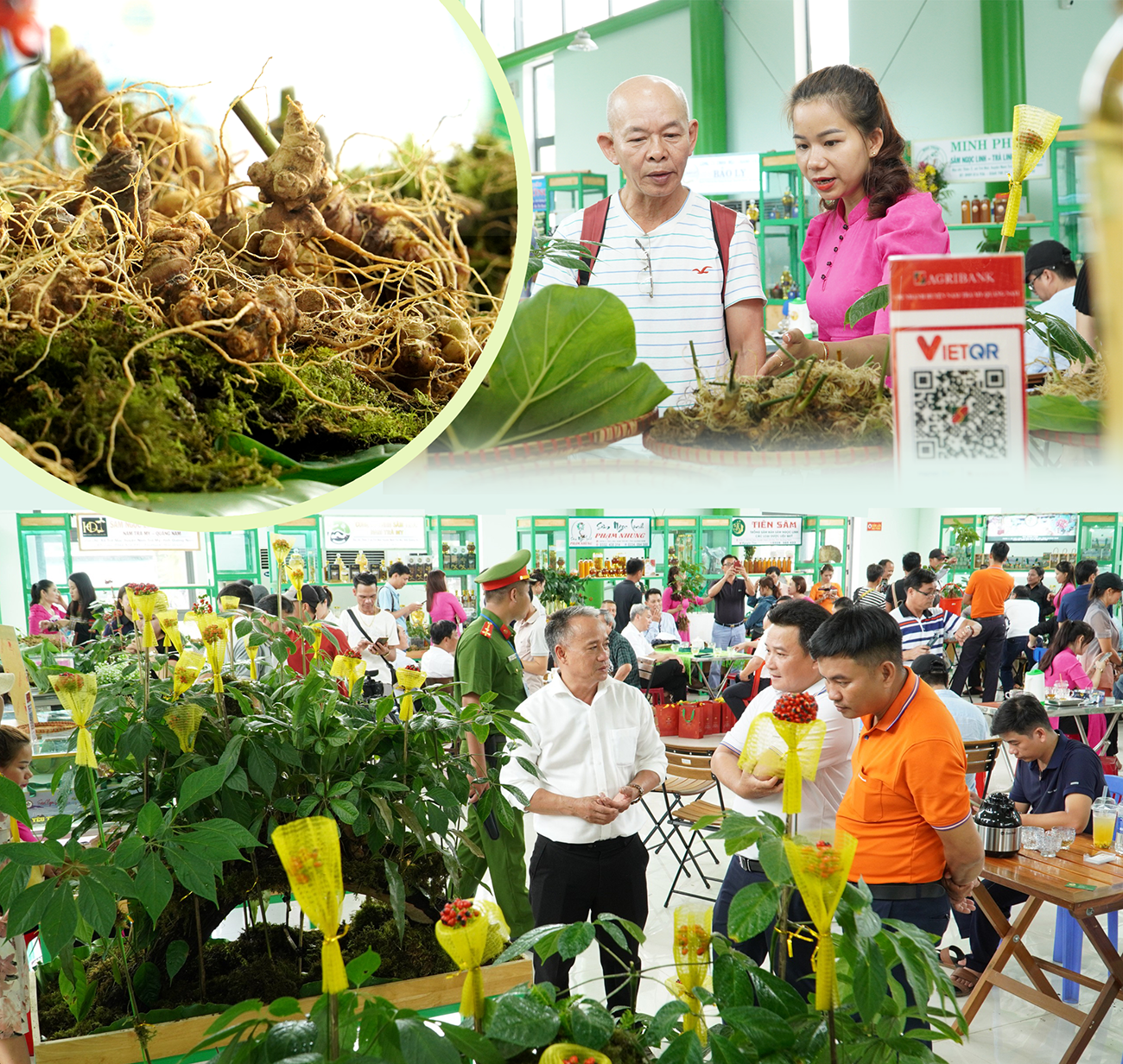 Phiên chợ sâm Ngọc Linh là nơi mua sâm đảm bảo chất lượng, được chính quyền địa phương bảo hộ. Ảnh: Q.L