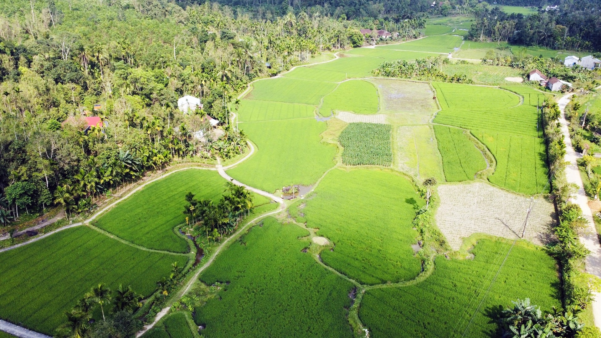 Làng cổ Lộc Yên (Tiên Phước) nằm trên hành lang phát triển đông - tây của tỉnh để kết nối không gian du lịch từ Tam Kỳ lên Trà My. Ảnh: Q.T