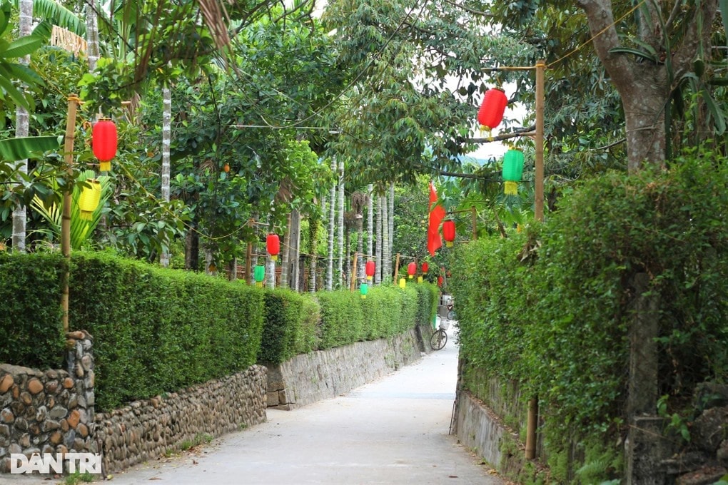 Green fences in Dai Binh