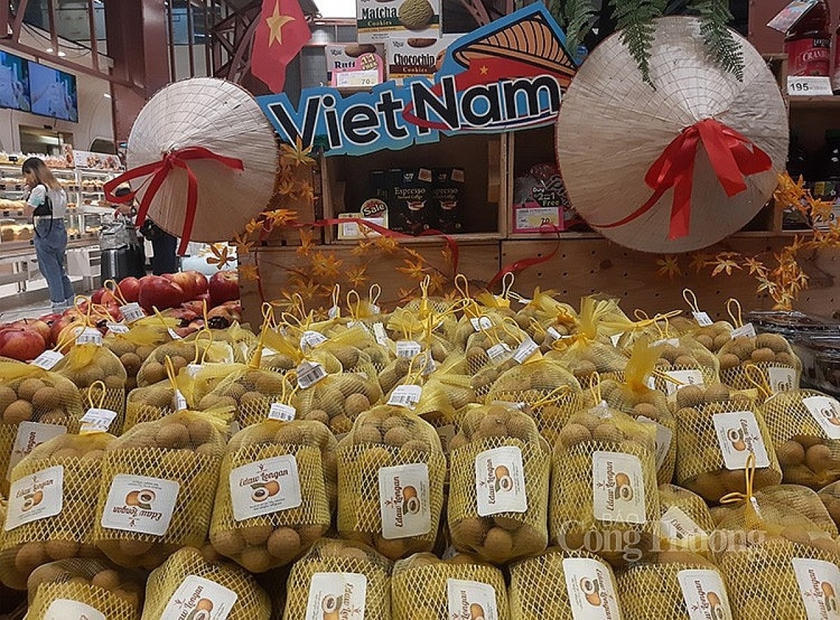 Vietnamese longans are on sale at Tops supermarket in Thailand from August 18. (Photo: Congthuong.vn)