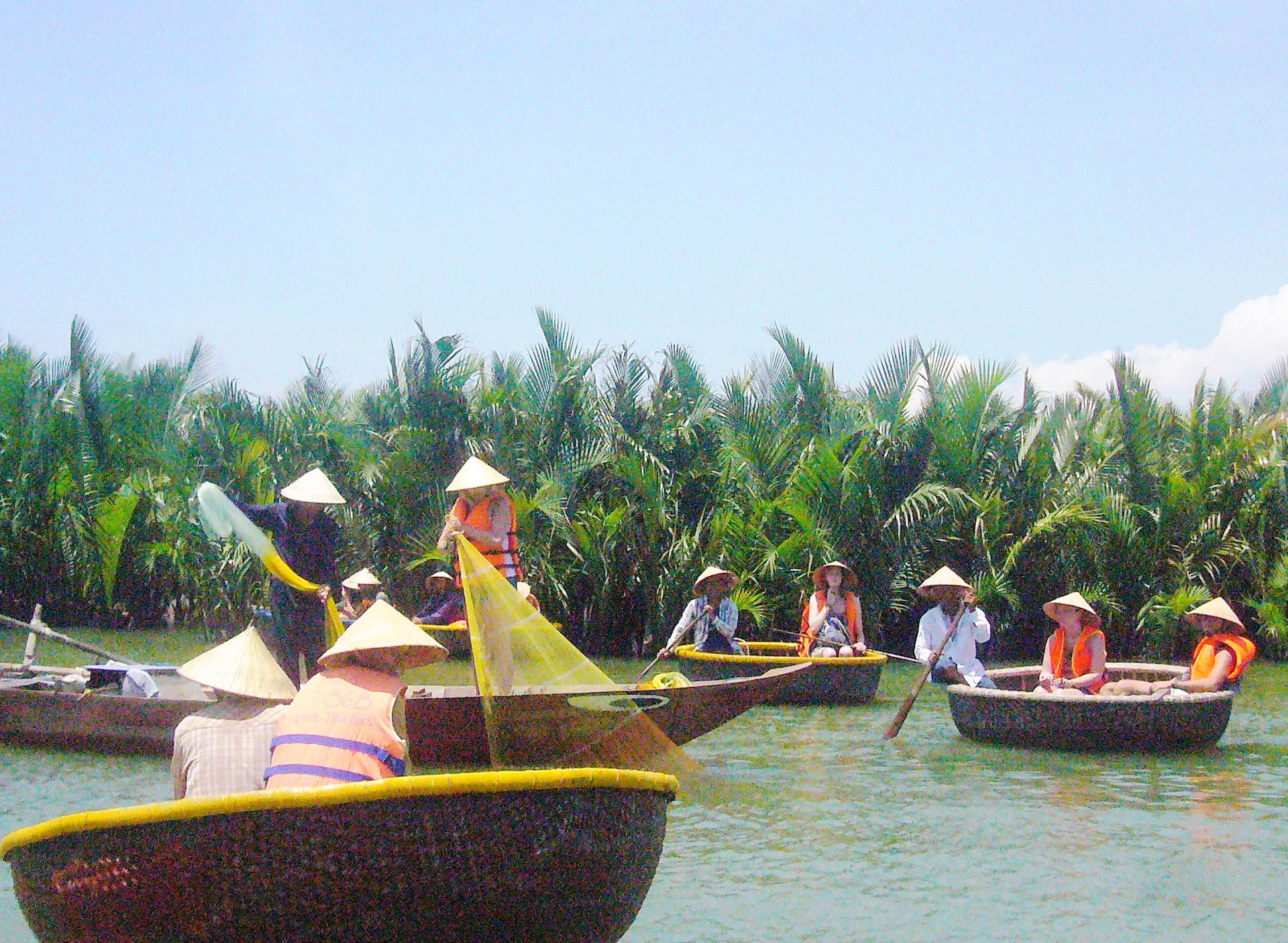 Rừng dừa nước Cẩm Thanh đang là điểm du lịch sinh thái ấn tượng. Ảnh: Đ.Huấn