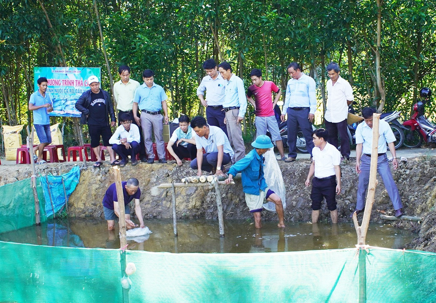 Thí điểm mô hình cá rô đầu vuông tại thôn Phước Bình, xã Sơn Viên. Ảnh MINH THÔNG