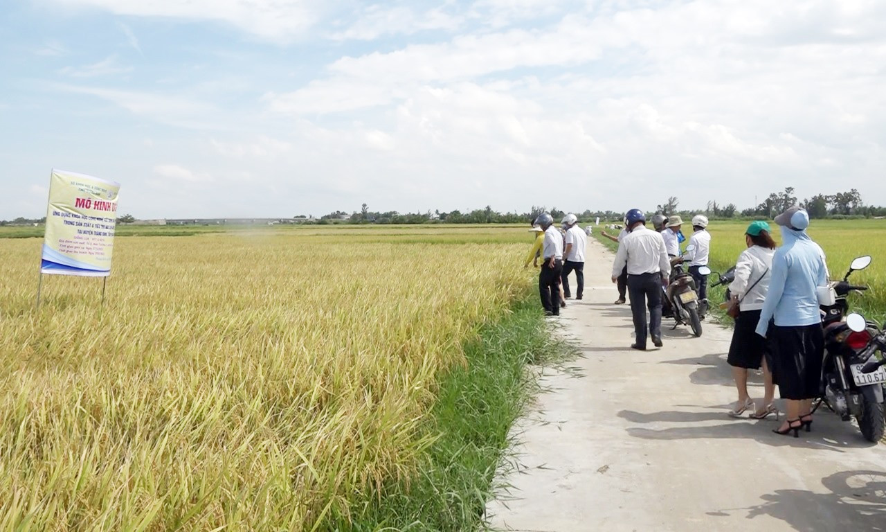 Đại biểu tham dự hội thảo tham quan mô hình ứng dụng liên kết sản xuất lúa giống xác nhận tại xã Bình Đào. Ảnh: T.N