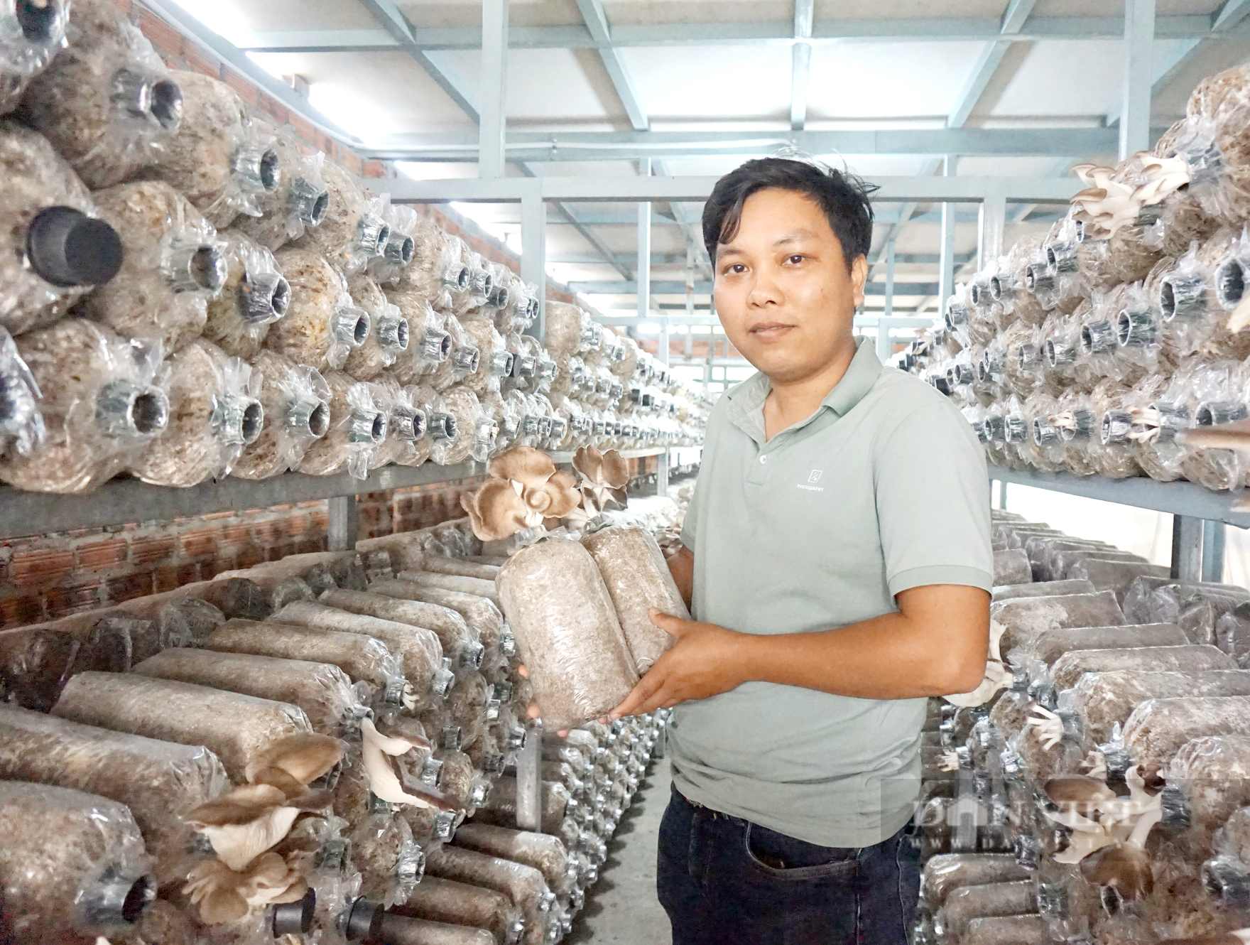 Trải qua 6 năm khởi nghiệp, Nguyễn Sư Dũng đã thành công với mô hình trồng nấm công nghệ cao. Ảnh: T.N