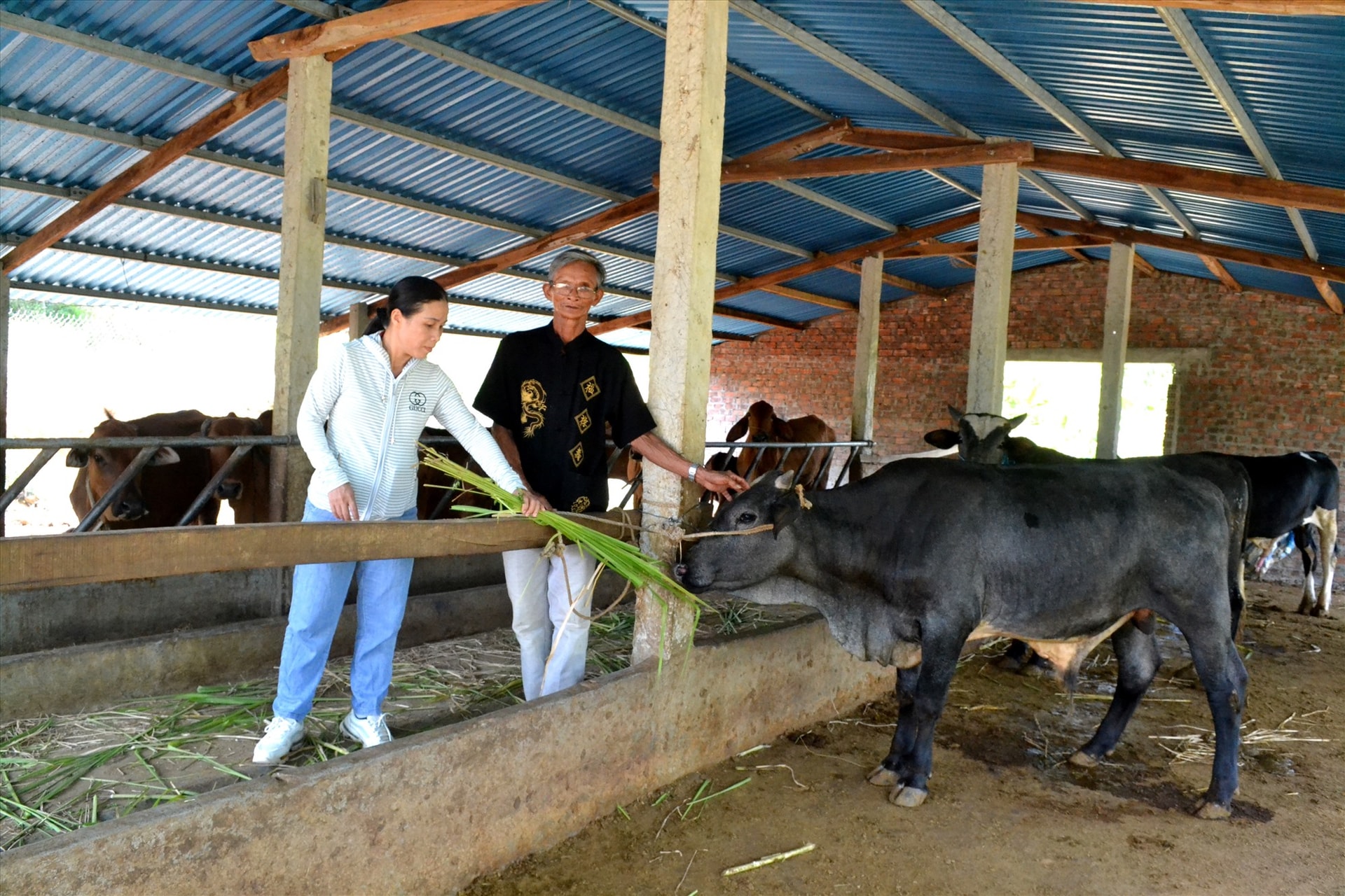 Kinh tế phát triển giúp đời sống vật chất và tinh thần của người dân Bình Quế nâng lên. Ảnh: Q.VIỆT