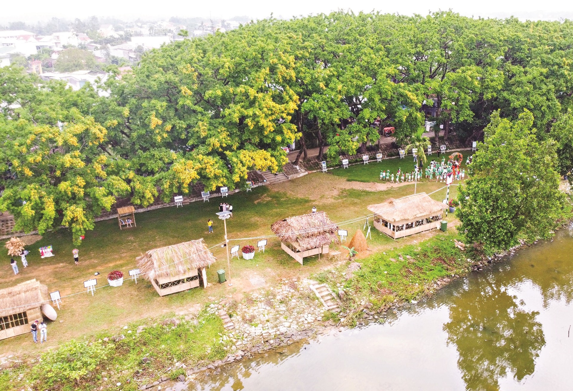 Vườn Cừa (Tam Kỳ). Ảnh: PHƯƠNG THẢO