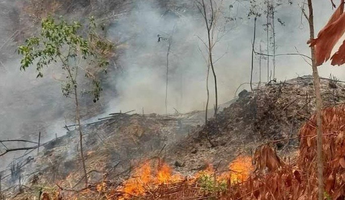 Vụ cháy rừng khiến một người đàn ông bị bỏng nặng, không qua khỏi. Ảnh: T.N