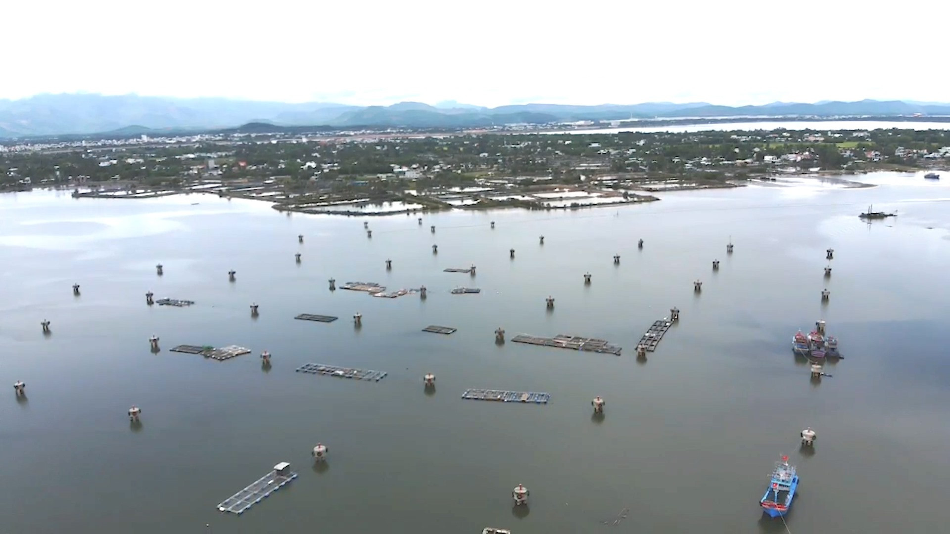 Khoảng 30 lồng bè nuôi thủy sản trái phép trên mặt nước của khu neo đậu tàu cá An Hòa. Ảnh: Đ.H